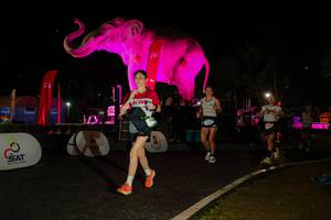 BIB: 
                            <button type="button" onclick="openModal(26534907)" class="btn btn-primary btn-sm float-right btn-popup" data-toggle="modal" data-target=".modal-high-quality">
                        <i class="fas fa-shopping-cart"></i> Add to Cart
                    </button>
                                            <button type="button" onclick="isThisMe(26534907, true)" class="btn btn-success btn-sm float-right btn-popup btn-isme hidden" data-toggle="tooltip" data-placement="bottom" title="นี่คือรูปของคุณใช่ไหม คลิกที่นี่เพื่อเอาเข้าอัลบั้ม">
                        <i class="fas fa-plus"></i> Add to album
                    </button>
                    <button type="button" onclick="isThisMe(26534907, false)" class="btn btn-warning btn-sm float-right btn-popup btn-isnotme hidden">
                        <i class="fas fa-ban"></i> Remove from album
                    </button>